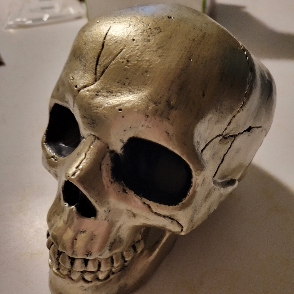 Skull plastic decoration